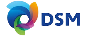 Dynamic Solution Real Estate
